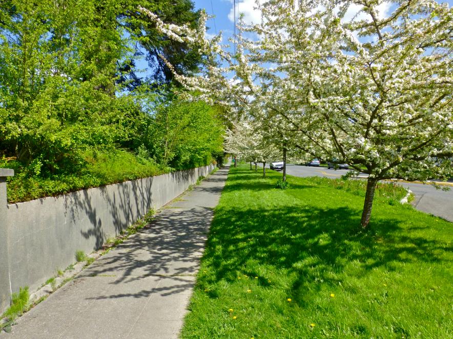 Olympia Avenue
